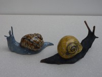 /album/animaux-divers/escargot-12-jpg/